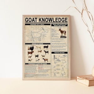 Conocimiento de cabras sin marco, anatomía de una cabra, razas de cabras, regalo para amantes de las cabras, impresión artística de cabras, póster para amantes de los animales, educación