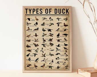 Types Of Duck Poster, Vintage Knowledge Print, Duck Lover Gift, Duck Of The World, Duck Vintage Decor, Duck Art, Farmhouse Decor, Duck Print
