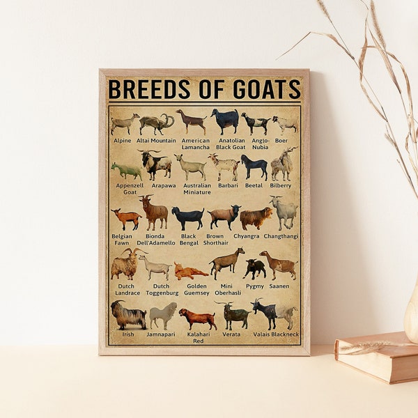 Goat Poster Etsy