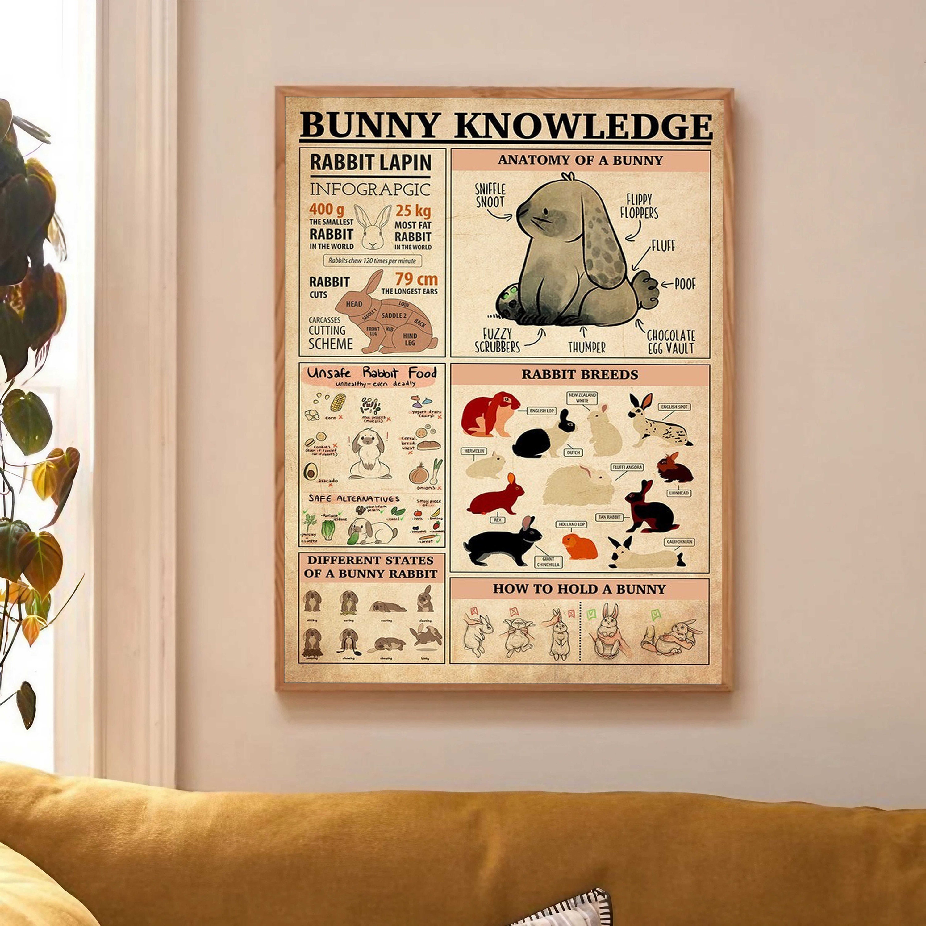 Bunny Knowledge Poster Anatomy of A Bunny Rabbit Breeds - Etsy