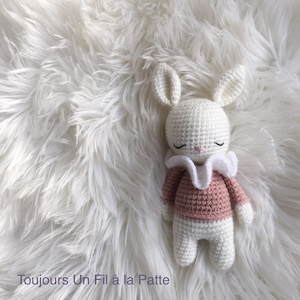 Amigurumi crochet pattern tutorial Lulu the rabbit (customizable)