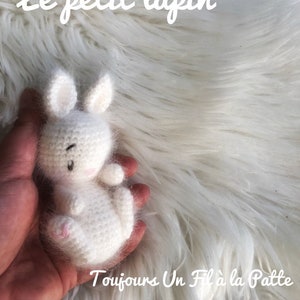 Pattern tutorial Bilou the little angora rabbit French and English US TERMS