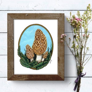 Morel Mushroom print, brown mushrooms