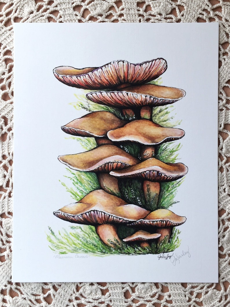 Oyster Mushrooms art print Botanical art print Nature Etsy