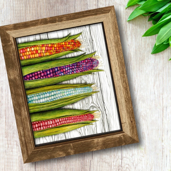 Colorful heirloom corn art print, Gardening, Heirloom Vegetables, Farm to Table, Garden Art, Botanical Print, Vegetable Print