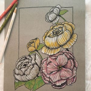 Coloring Page, Peonies, Digital Download, Flower Drawing, Downloadable Drawing Page