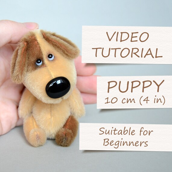 miniature teddy bear puppy