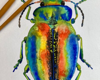 Original Beetle Watercolour Painting, Watercolour Beetle, Watercolour Bug, Watercolour Insect, Beetle Painting, Rainbow Watercolour Beetle,