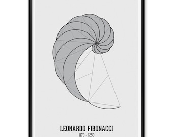 Fibonacci-spiralkonsttryck: Nautilusskal, dekoration för matteklassrum