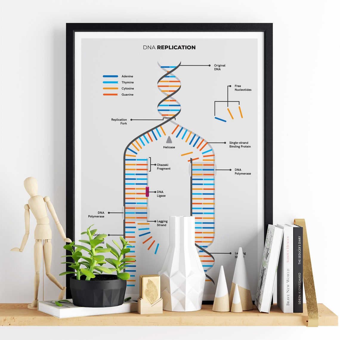 DNA Replication Cheat Sheet Gift for Biologist Homeschool Etsy