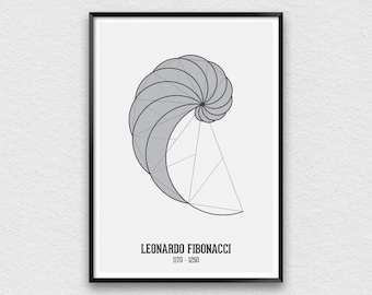Fibonacci Spiral Wall Art, Mathematics Poster, Fibonacci Poster, Scientist Print, Scientific Art, Classroom Decor, Math Print