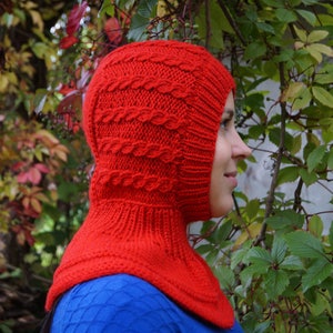 Adult Balaclava, ski hat, winter outdoor accessories,snow beanie,merino wool balaclava,hoodie hat with neck warmer mens/womens winter mask .