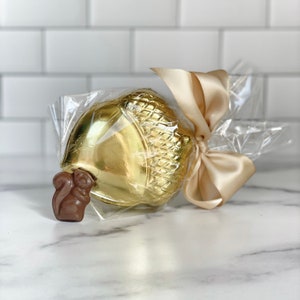 Foiled Chocolate Acorn with Chocolate Squirrels inside