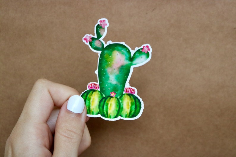 Puede incluir: Un cactus verde de acuarela con flores rosas y cactus redondos verdes y amarillos en la base.