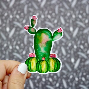 Puede incluir: Un cactus verde con flores rosas y cactus redondos verdes y amarillos en la base. El cactus est&aacute; pintado en estilo acuarela.