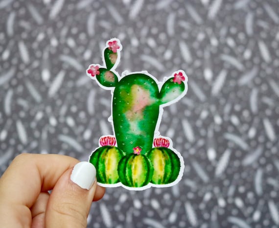 Cacti Laptop Sticker, Cactus Sticker, Water bottle Decal, Cute Stickers, Laptop Decal, Cactus Gifts, Cactus Decal, Watercolor Flowers