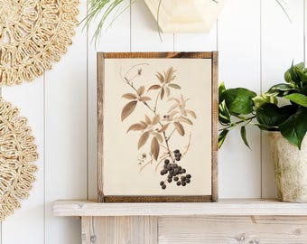 Blueberry Bush Botanical Canvas Printed Sign