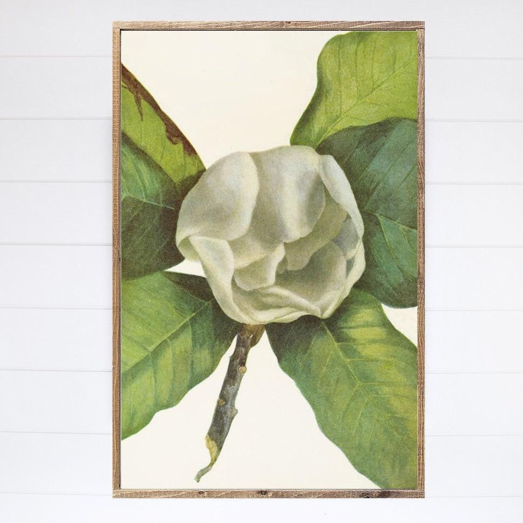 Magnolia Canvas Printed Sign - Etsy