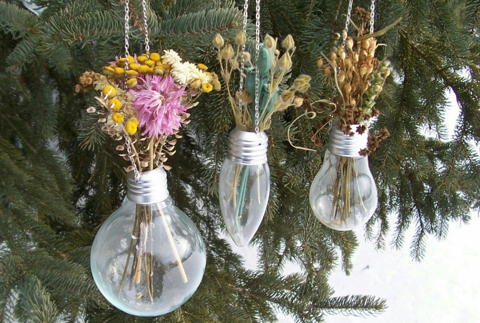 Light Bulb Flower Vases glass vases hanging on silver metal Etsy