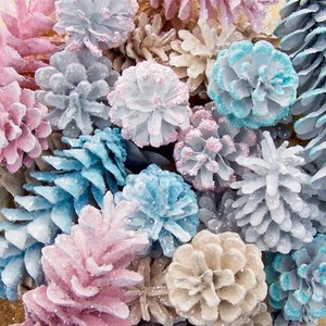 Special Occasion Pine Cones, Sparkly.  Gender reveal, winter wedding, anniversary...  Choose color (see photos) or custom.