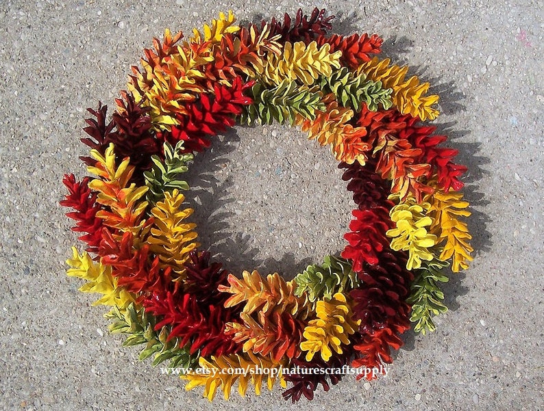 Fall Pine Cone Wreath. White Pine. Autumn Decor. image 1