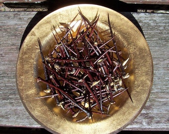 Thorns, Hawthorn, Thornapple, thorn tree, crown of thorns, Easter.