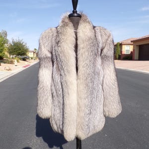 M-P/L-P (10P-12P) real PLATINUM FOX jacket coat, hip-length,gray/ivory/black blend, highest quality, beautiful coloring, EUC (#3506)