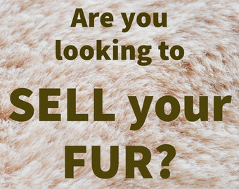 Interested in SELLING your FUR?  Contact me ... Let's talk!