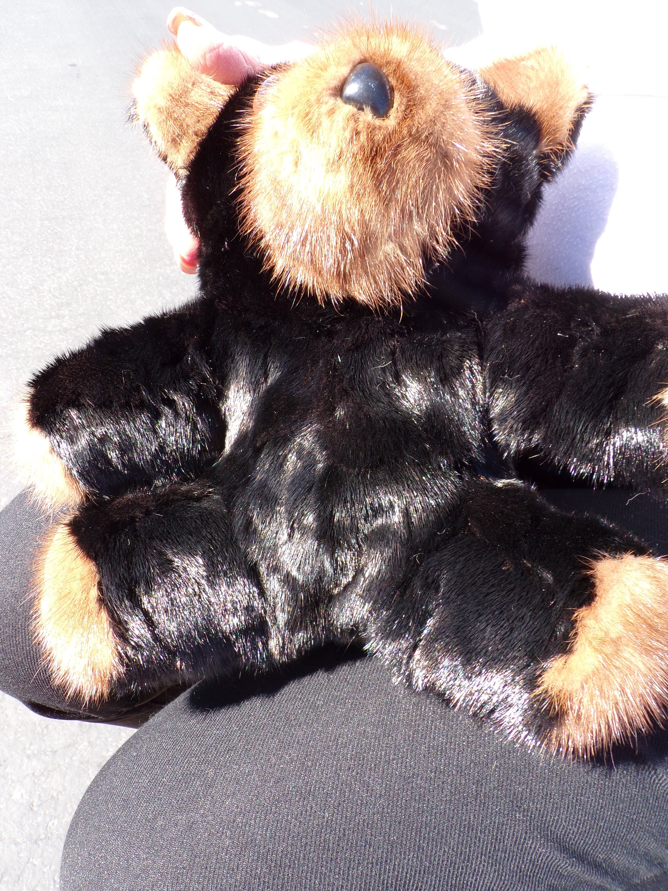 Animal de peluche sin relleno sin relleno oso de peluche sin relleno pieles  piel de juguete de oso Sincero Hogar