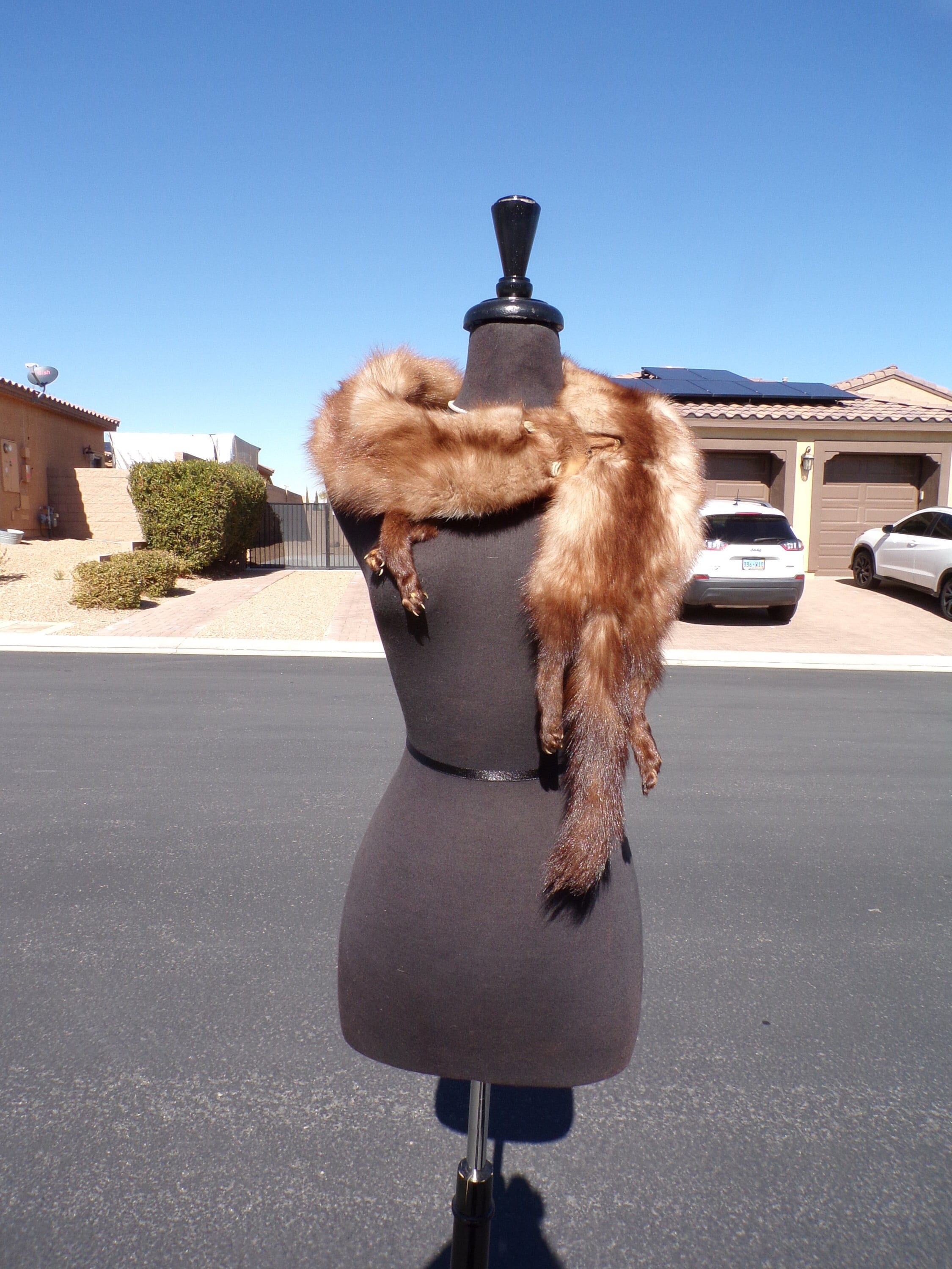 Pelt STONE MARTEN Martin Sable Fitch Scarf Boa Stole Stoll, Real