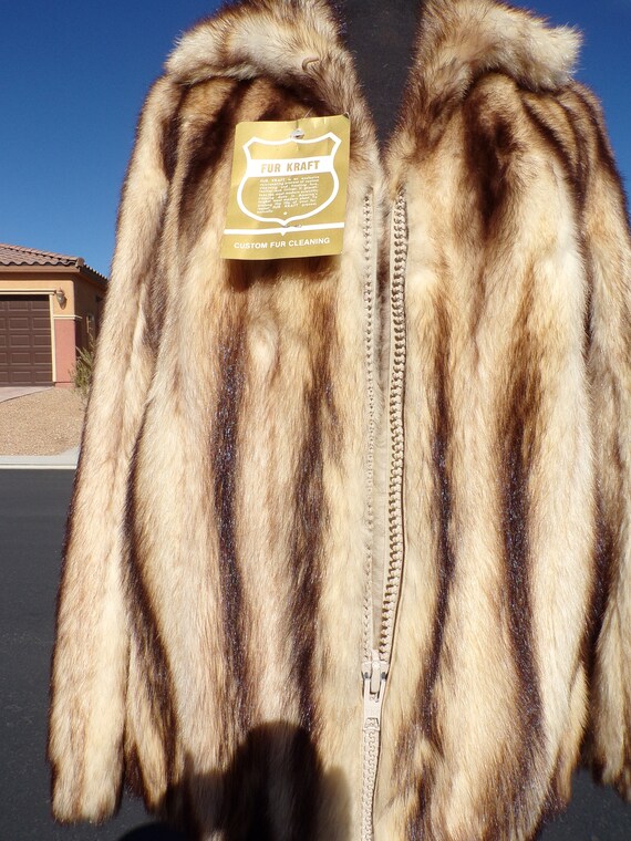 M 10 STONE MARTEN Sable Fitch Mink 