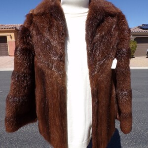 Unisex Mens S real NUTRIA FUR jacket coat stroller, hip-length similar to beaver fur, dark brown, pretty, soft and luxurious 1542-2 image 2