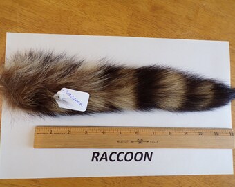 Raccoon Tail - Etsy
