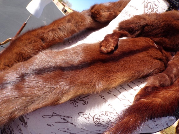 4 pelt dark RUSSIAN SQUIRREL weasel scarf scarves… - image 5