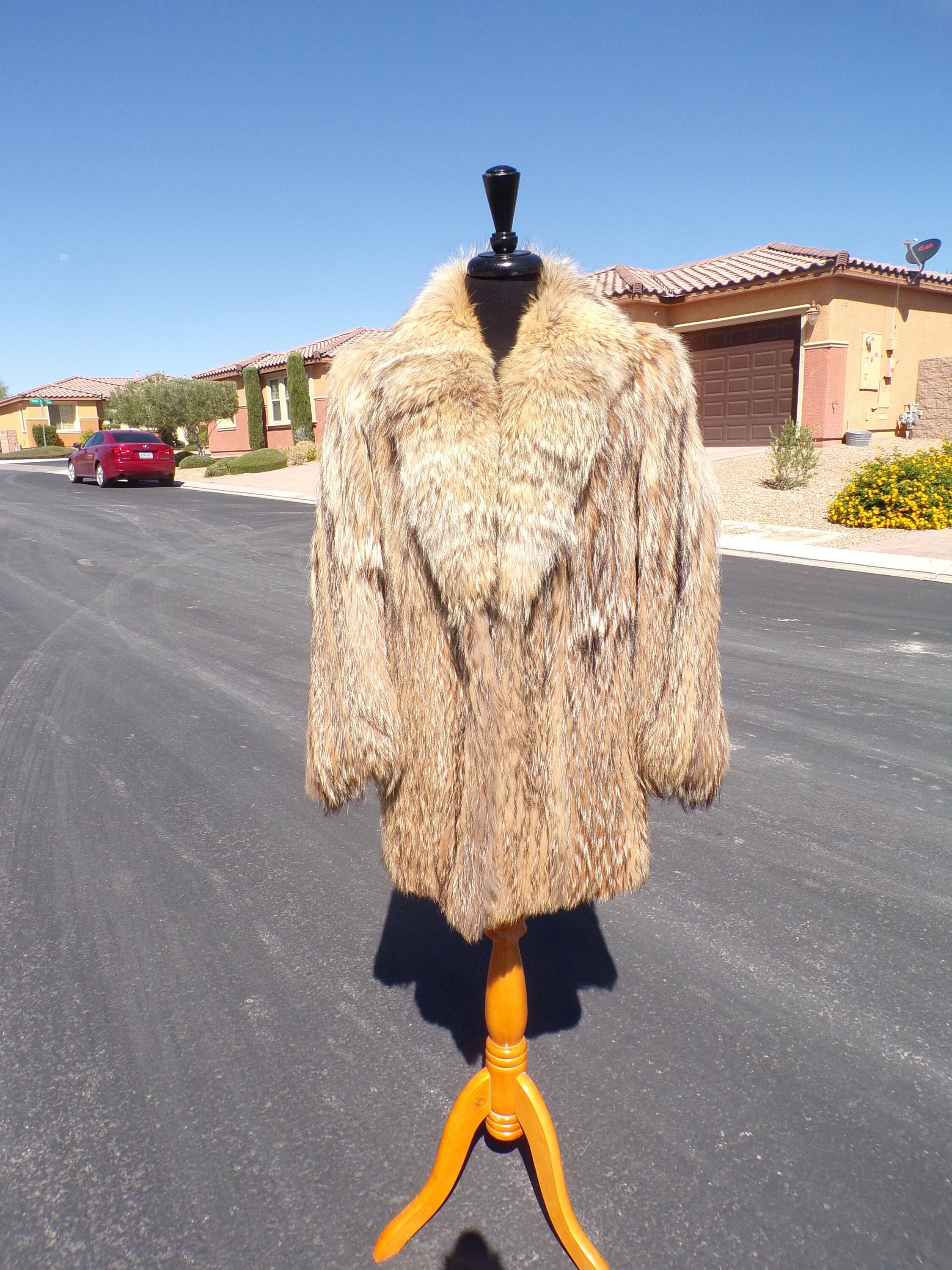 Asiatic raccoon fur best sale coat