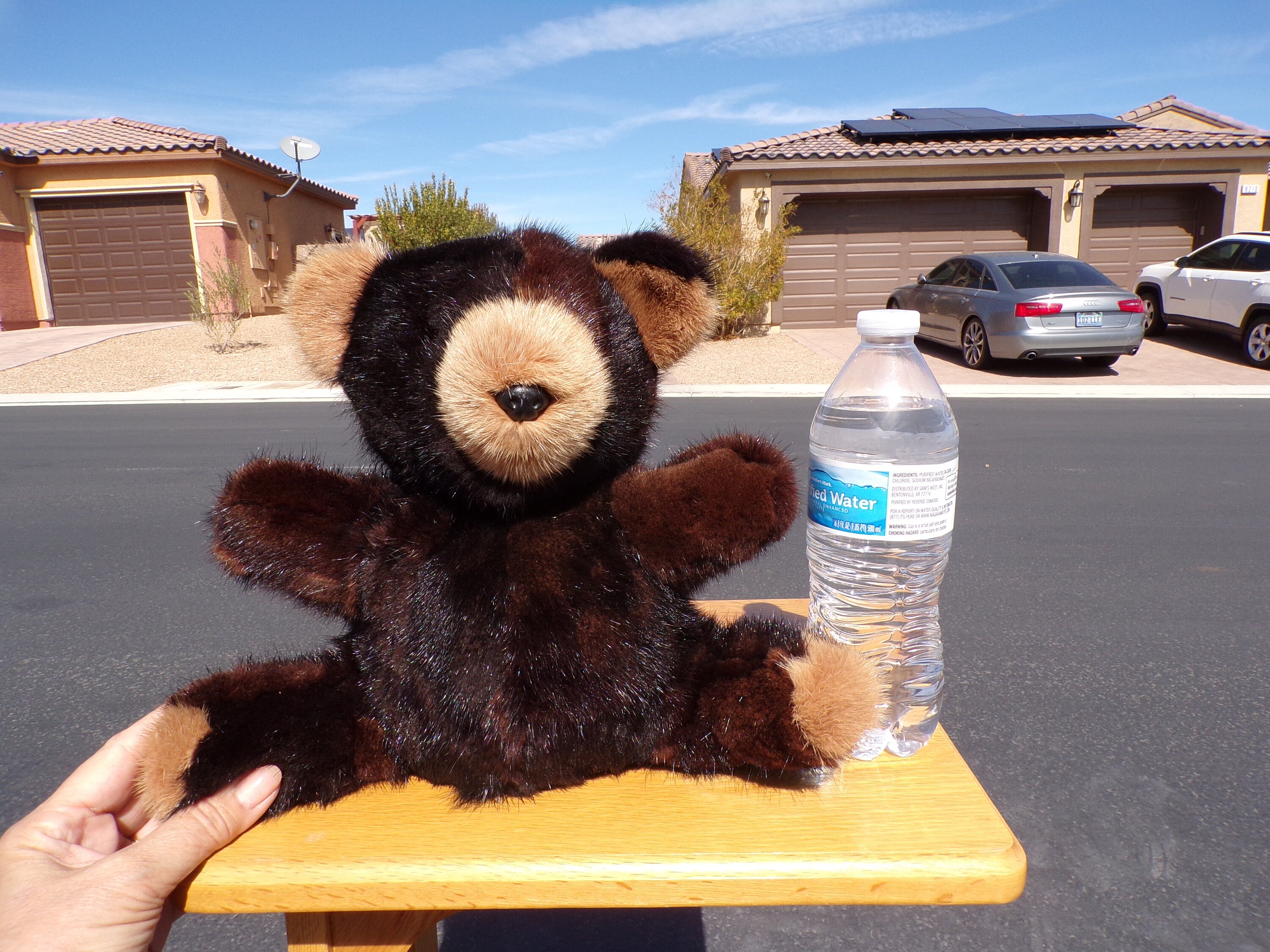 real mink fur teddy bears