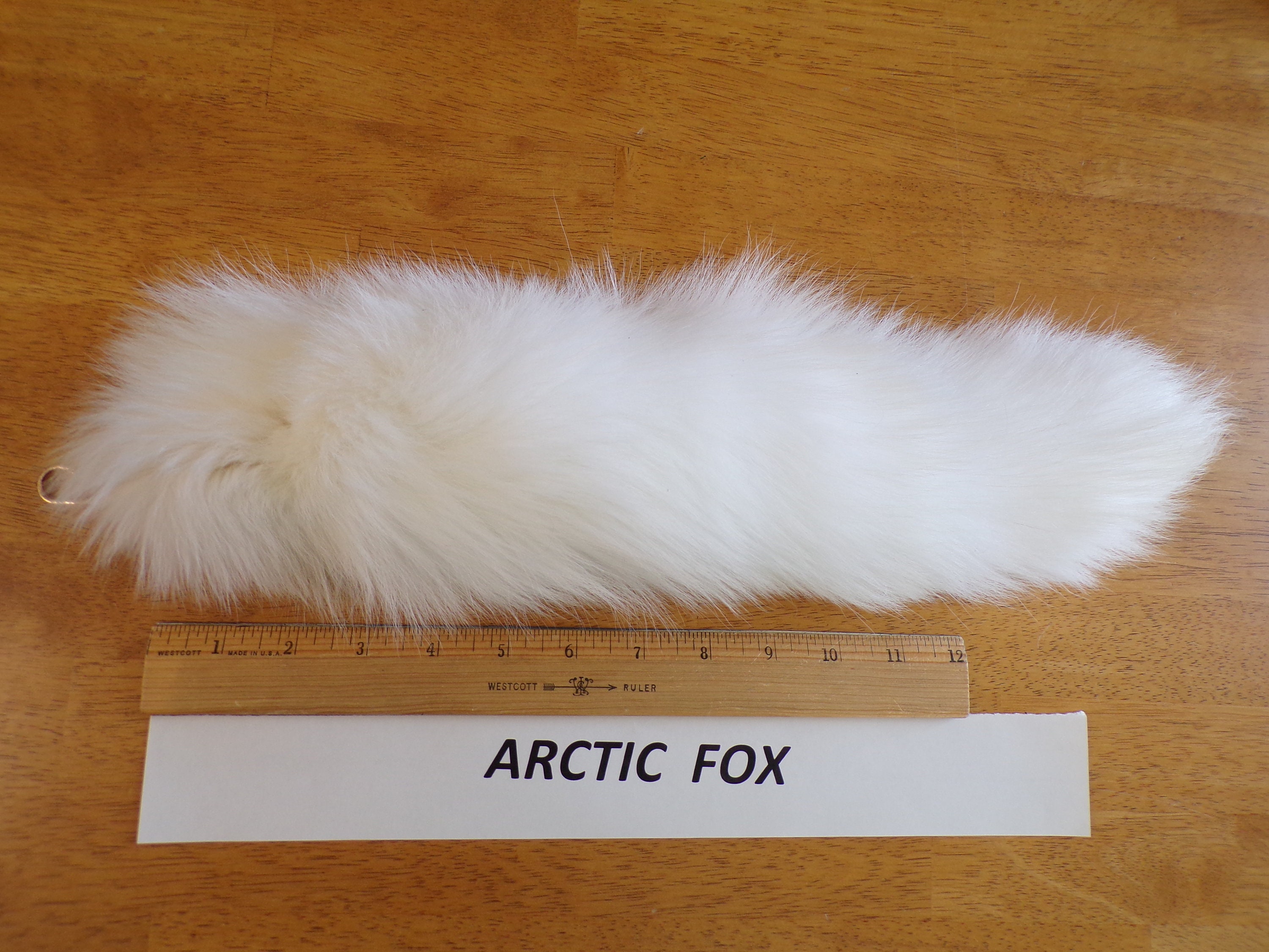 XL white arctic FOX TAIL keychain purse charm, (bleached) white