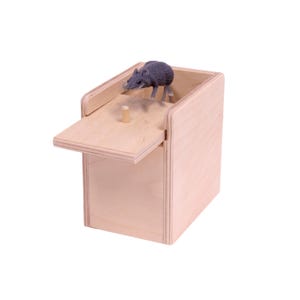 May include: A wooden box with a hinged lid, a small gray mouse toy pops out of the box.