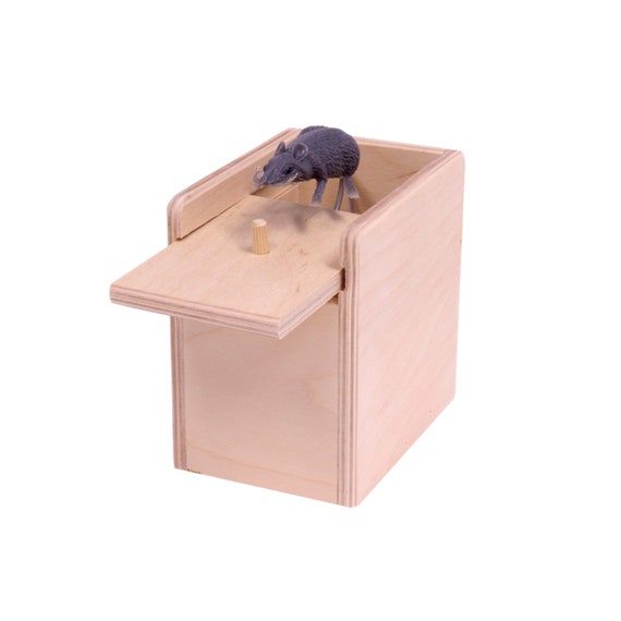 Amish made on sale toy box