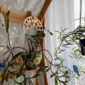May include: A wooden rainbow-shaped toy with holes for stacking, hanging from a shelf with a white porcelain bunny figurine. A potted plant with green leaves and a hanging plant with green leaves in a black pot are also visible.