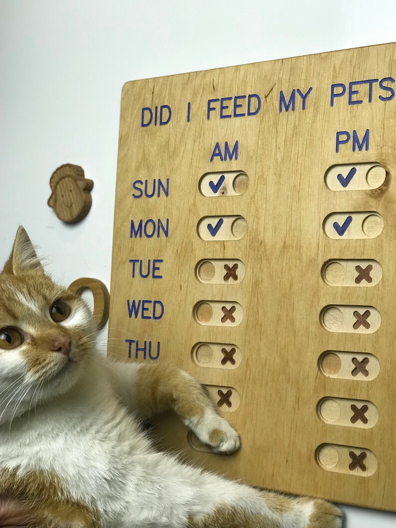 Personalized pet feeding schedule Pet Feeding Reminder Pet | Etsy - Feeding Frequency For Pet Pet Pet Vipers