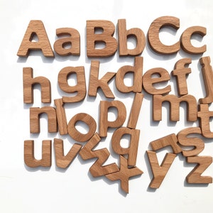 Wooden lower case abc with Magnets, Birthday gift for kid, Beech-wood Letters Height 3.5cm/1.4inch, Educational Toy, Wooden eco toy