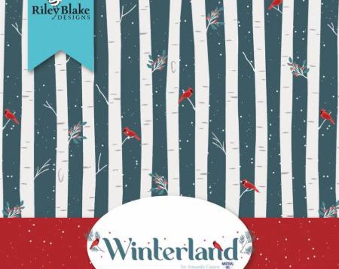 Winterland 5-Inch Squares Charm Pack, 42 Pieces, Amanda Castor, Riley Blake Designs, Precut Cotton Quilting Fabric, Winter Fabric