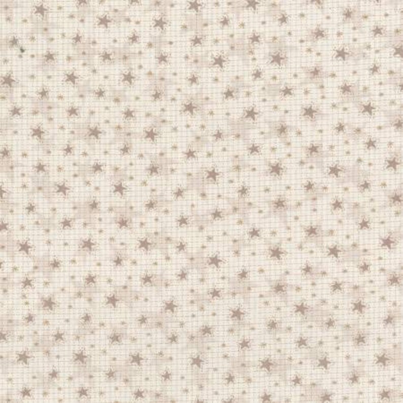 Lynette Anderson Quilt Fabric Little Witchy Wonderland Fat Quarter Bundle RJR Fabrics Cotton Fabric Halloween 12 Pieces Precut Fabric