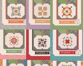 Quilt Seeds Quilt Patterns, Lori Holt, Riley Blake Designs