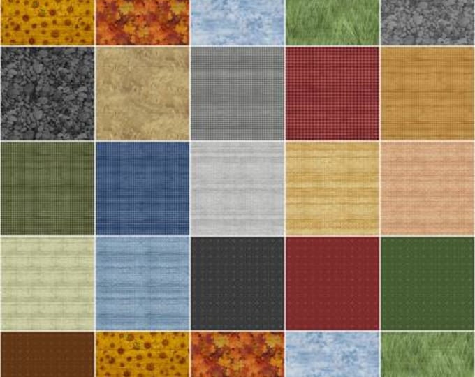 Horizon 5-Inch Squares Charm Pack Precut Fabric, Quilt Fabric