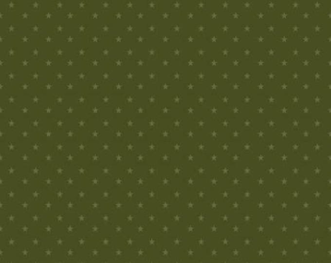 Coming Home Stars Green Yardage, Sandy Gervais, Riley Blake Designs, Cotton Quilt Fabric, Floral Fabric