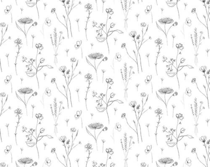 Royal Jelly Sketched Floral White Fabric Yardage, Jane Archer, Blank Quilting, Cotton Quilt Fabric, Floral Fabric