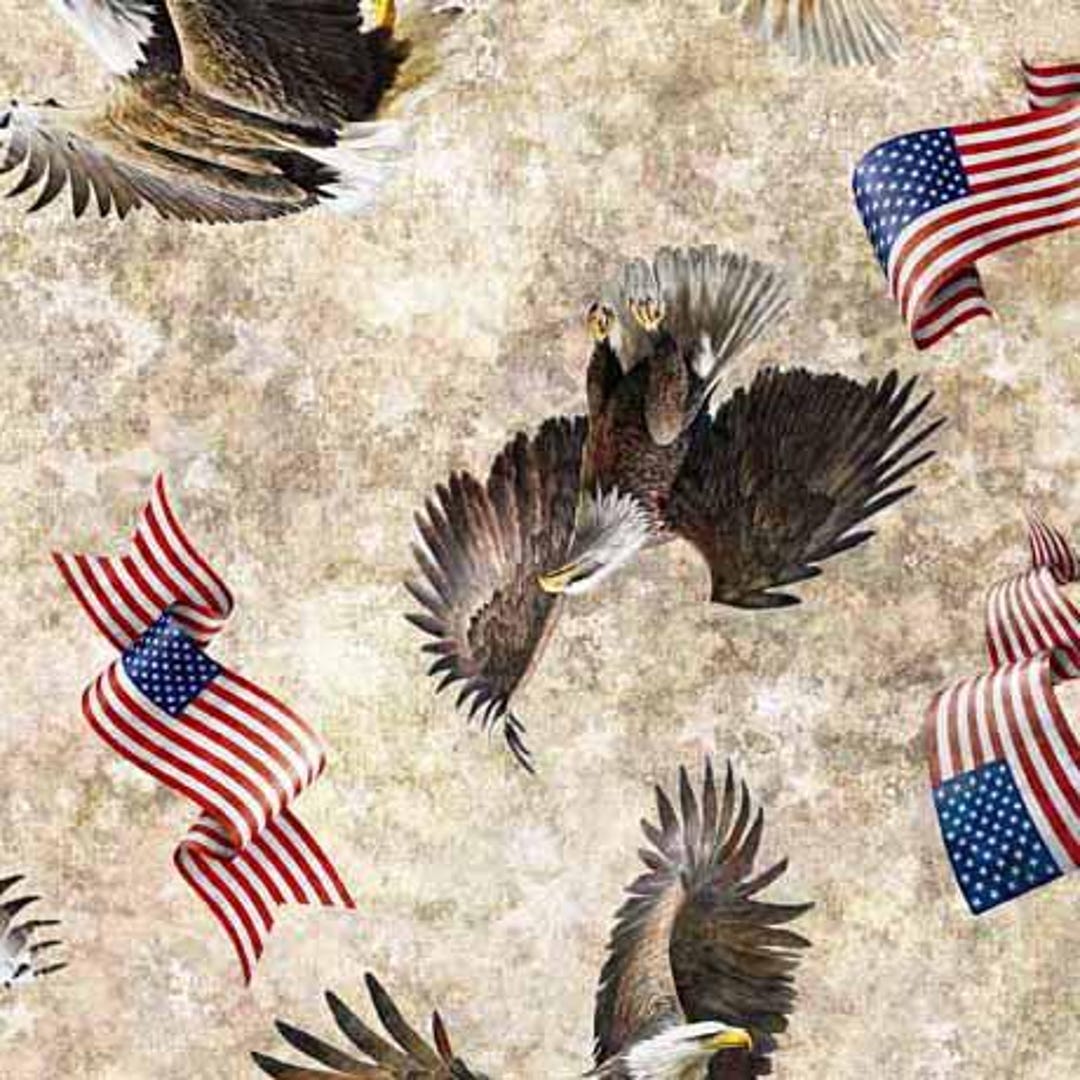 American Spirit Eagle and Flag Toss, Morris Creative Group, QT Fabrics ...