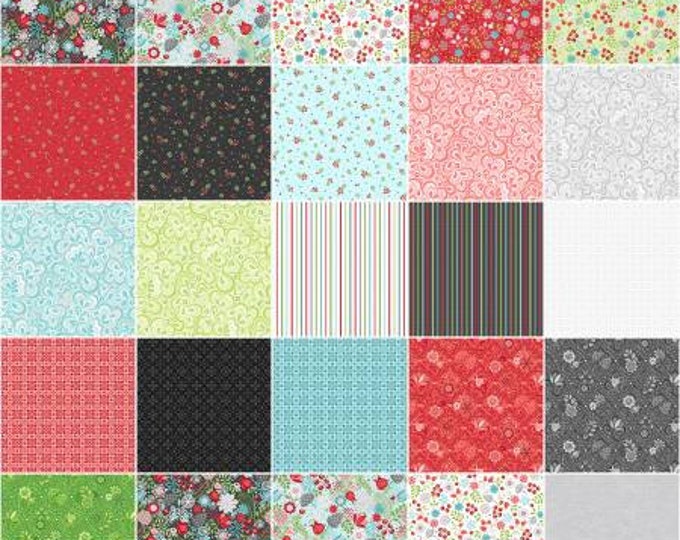 First Frost 5-Inch Squares Charm Pack Floral Precut Cotton Quilting Fabric, Winter Fabric, 42 Pieces, Amanda Murphy, Contempo Studio.